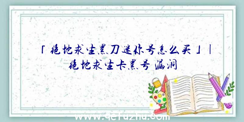 「绝地求生黑刀迷你号怎么买」|绝地求生卡黑号